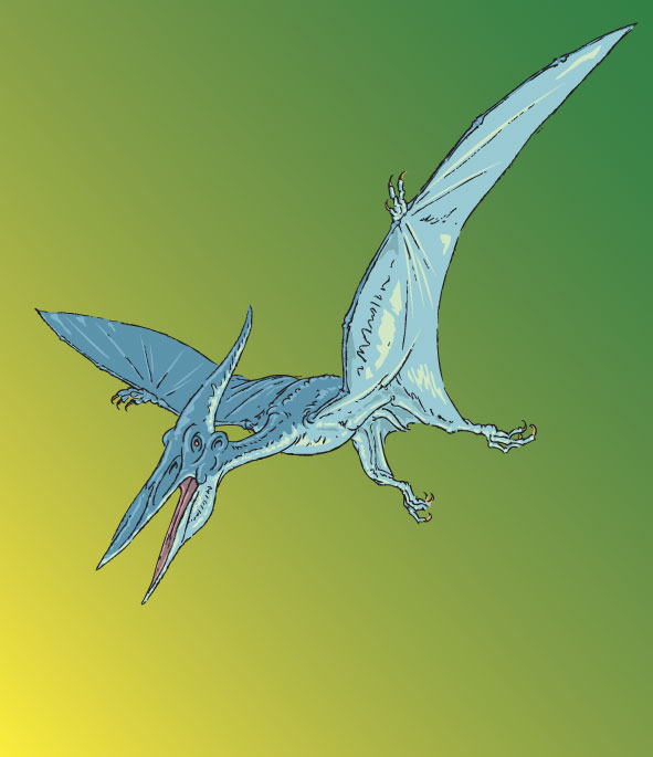 Pteranodon illustration
